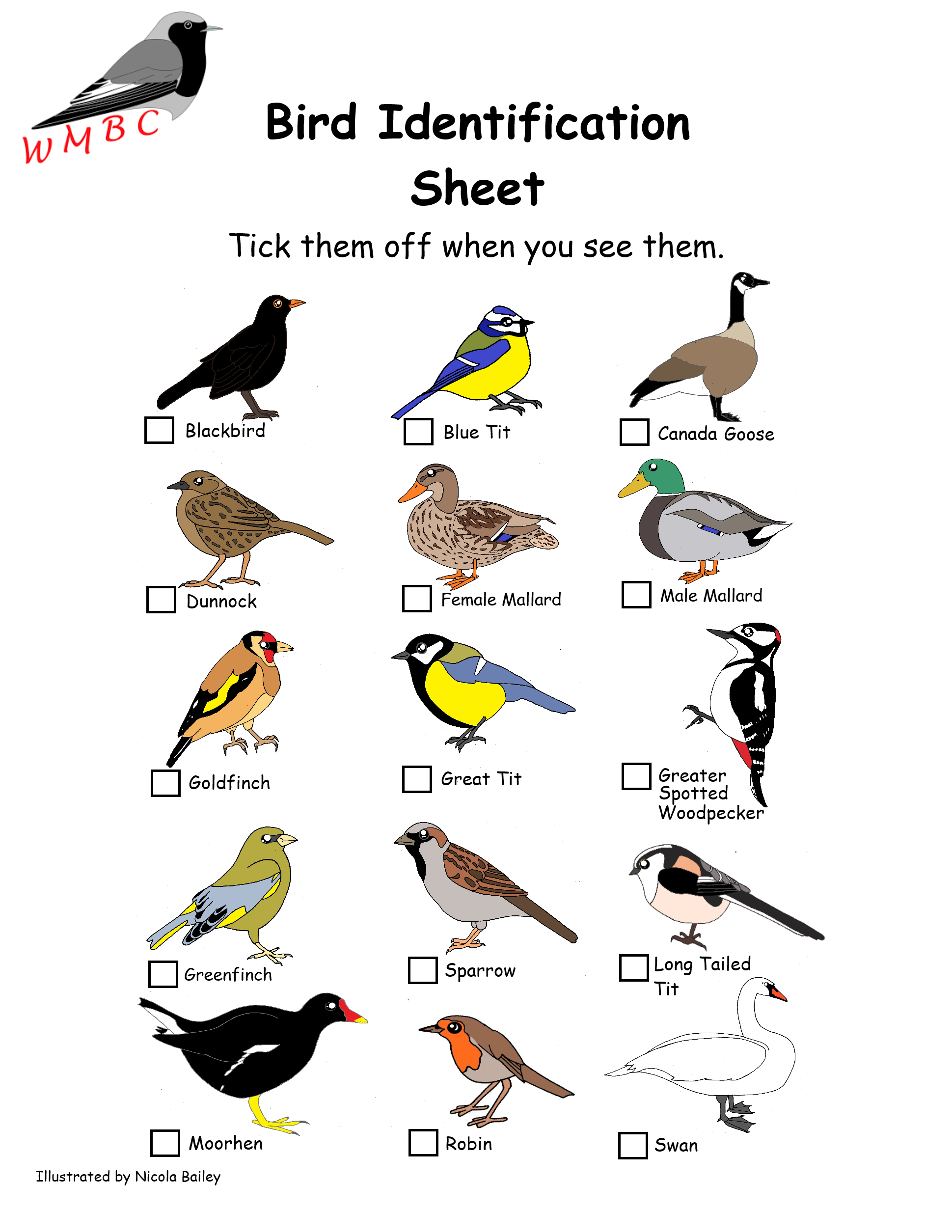 Printable Bird Identification Chart